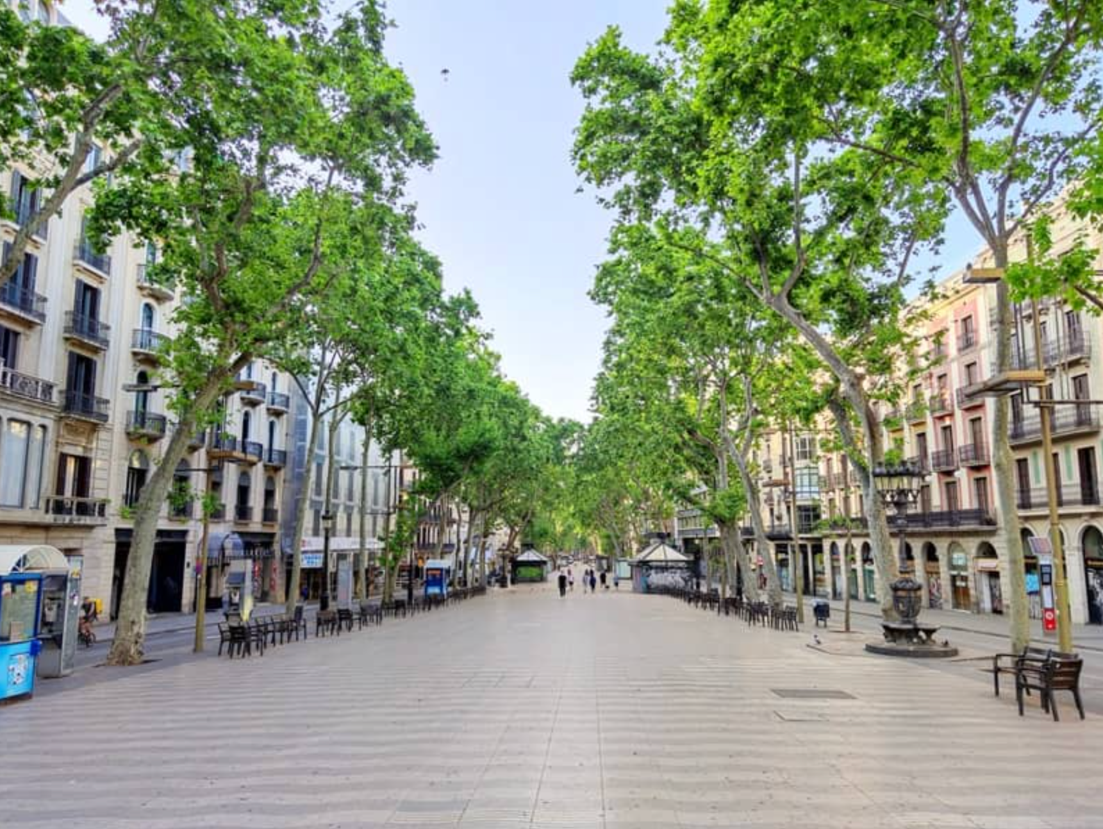 The apartment is located right next to plaza catalunya, right along La Rambla - the famous boulevard of Barcelona