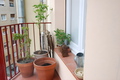 roomsBalconyTerrace