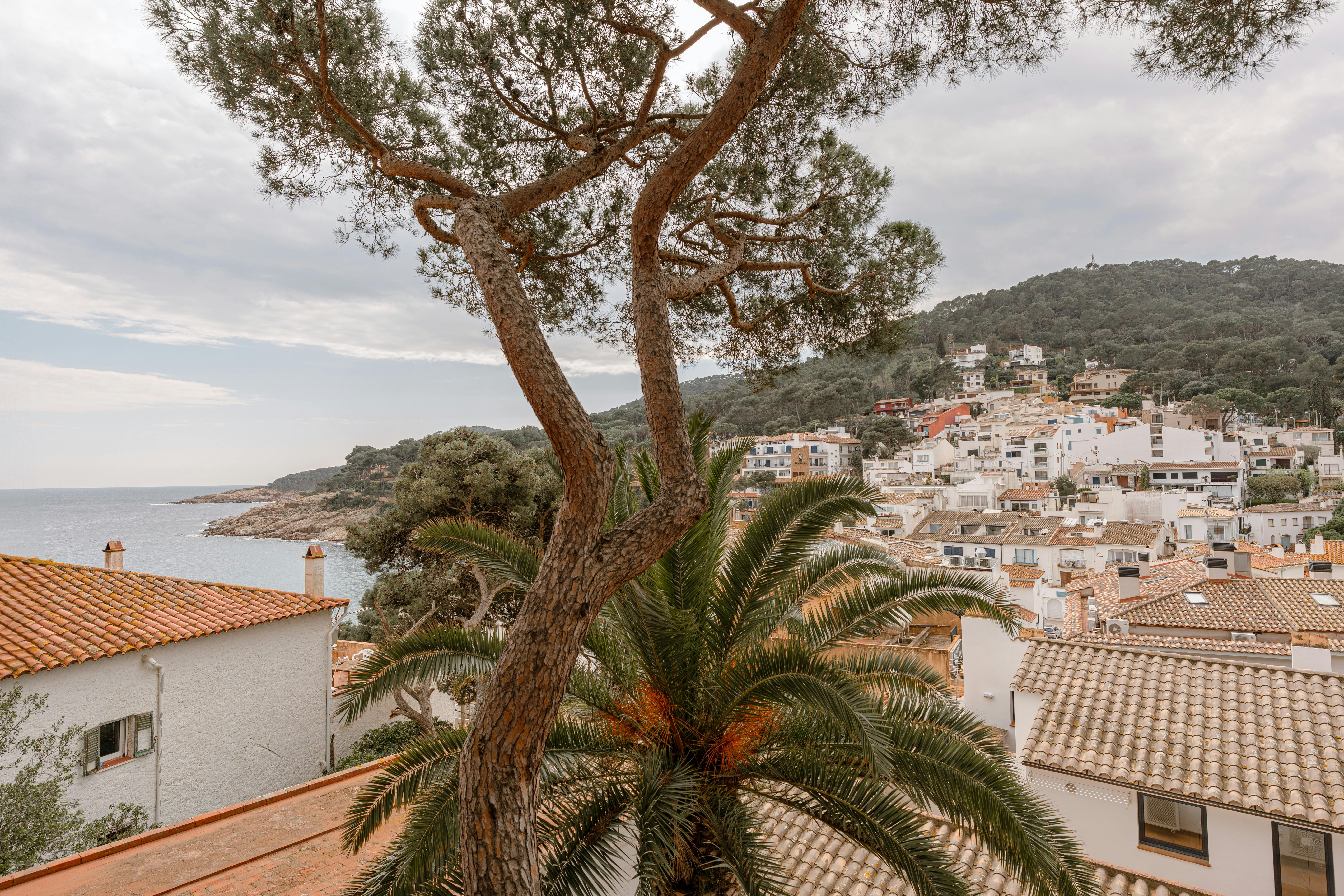 Live the dream, surrounded by nature and just a few steps from the sea