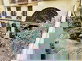 exteriorStreetView