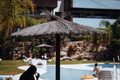 5-Star Resort Apartment with Scenic Views