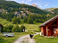 Casa-Le Toussiard apartment in chalet St-Véran