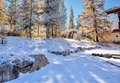 Casa-Forêt Blanche splendid Chalet