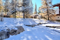 Casa-Forêt Blanche splendid Chalet