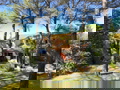 mainImage