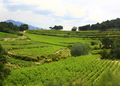 CASA-Vaison villa with private swimming pool