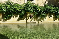 CASA-La Fontaine Maison Vacances Piscine