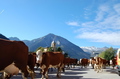 CASA-Chalet le Pointon N° 3: Your Perfect Escape
