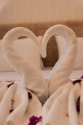 Indemela Corfu Lodge | Pool • 100m from Beach