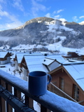 Claudia 7 - 4 bed Penthouse apartment with balcony close to Spa and Gondola