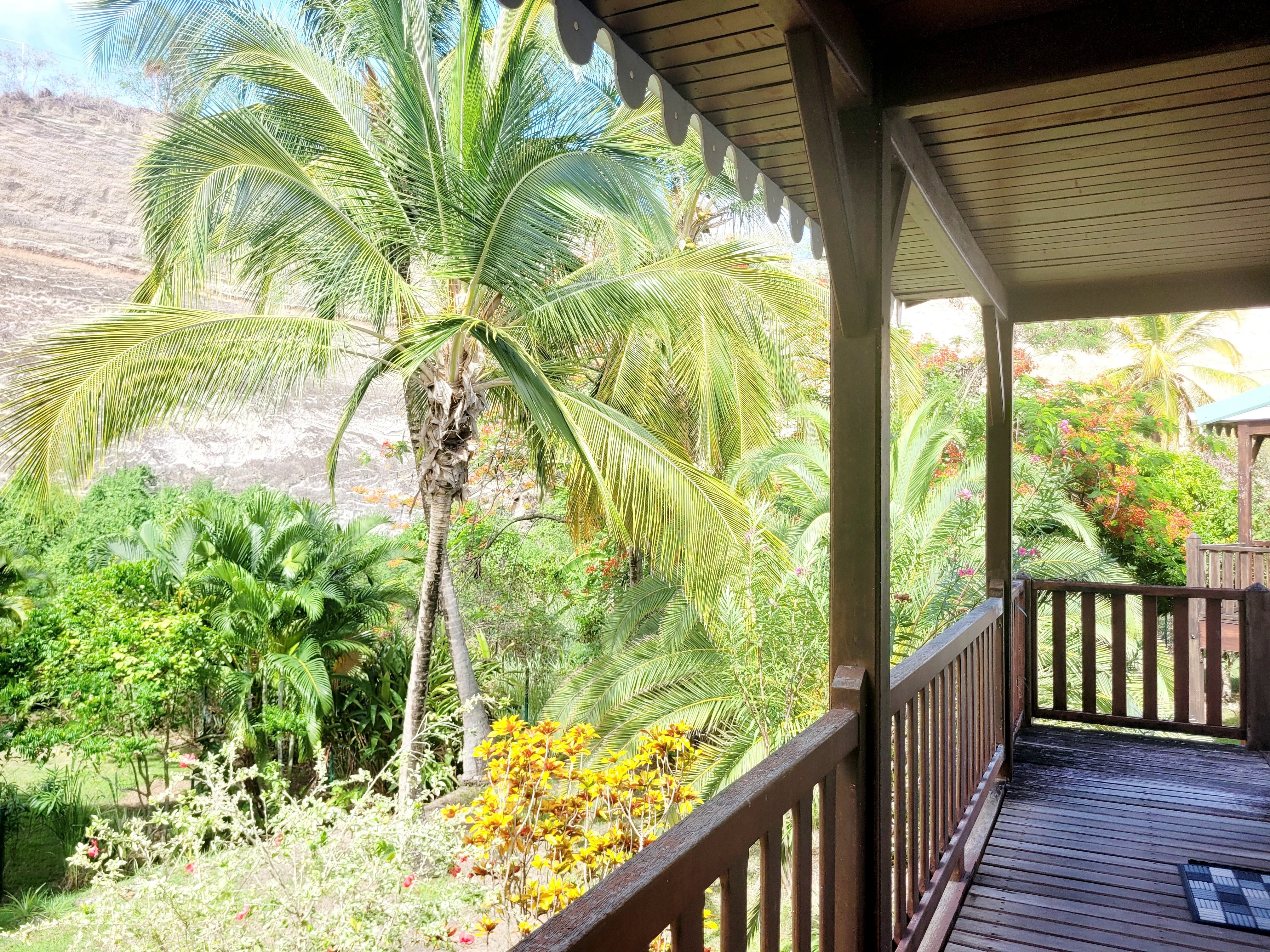 Le jardin à l'arrière du logement : une végétation luxuriante, des palmiers et une ambiance tropicale apaisante. Un véritable écrin de verdure où vous pourrez vous promener et vous ressourcer en toute tranquillité.