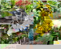 exteriorGarden