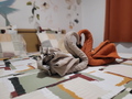 roomsBedroom