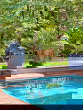 Exceptional Villa with Swimming Pool, Pétanque Court, and Large Green Space –...