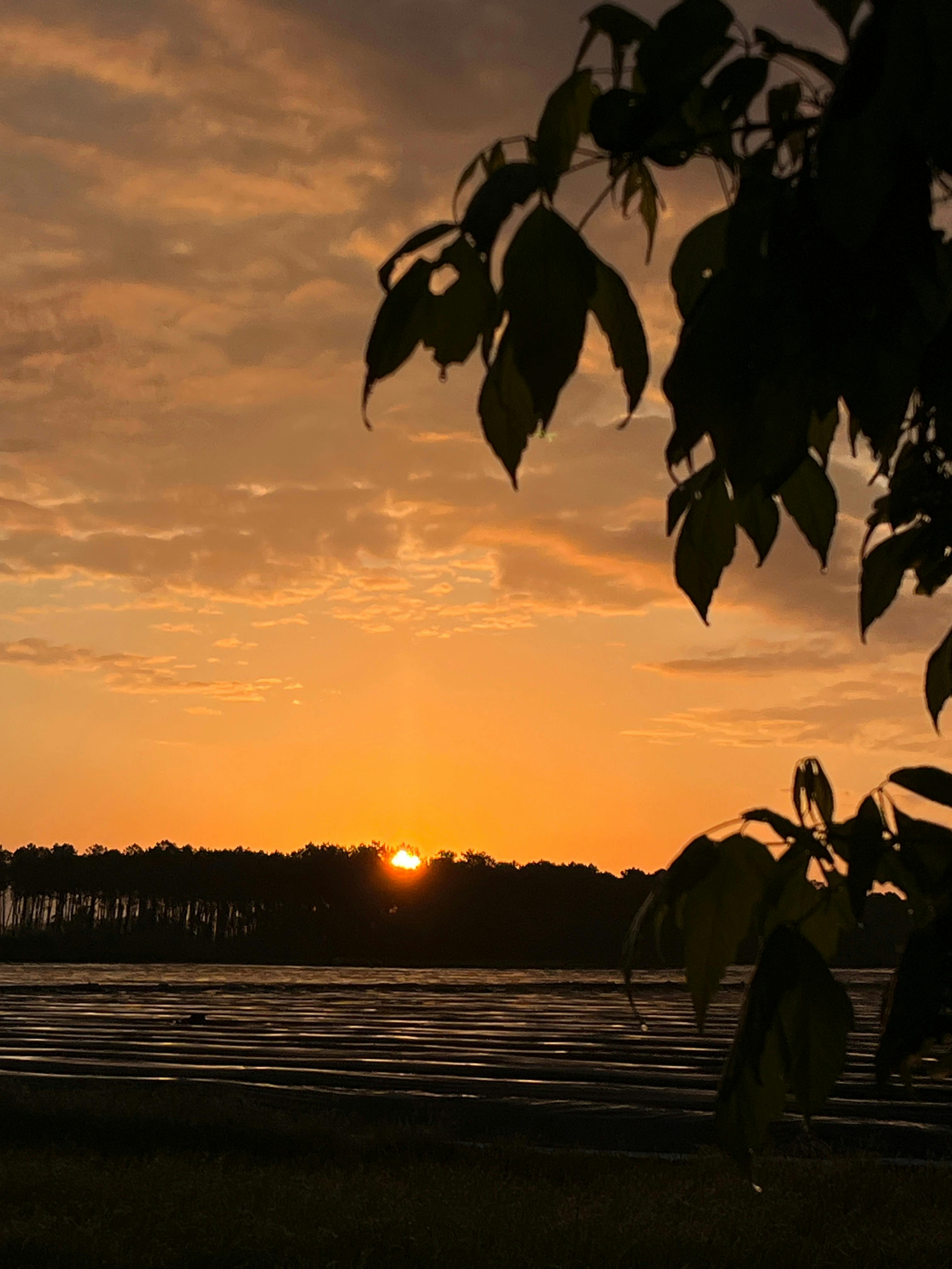 Charmant lodge rénové avec goût, jardin & calme