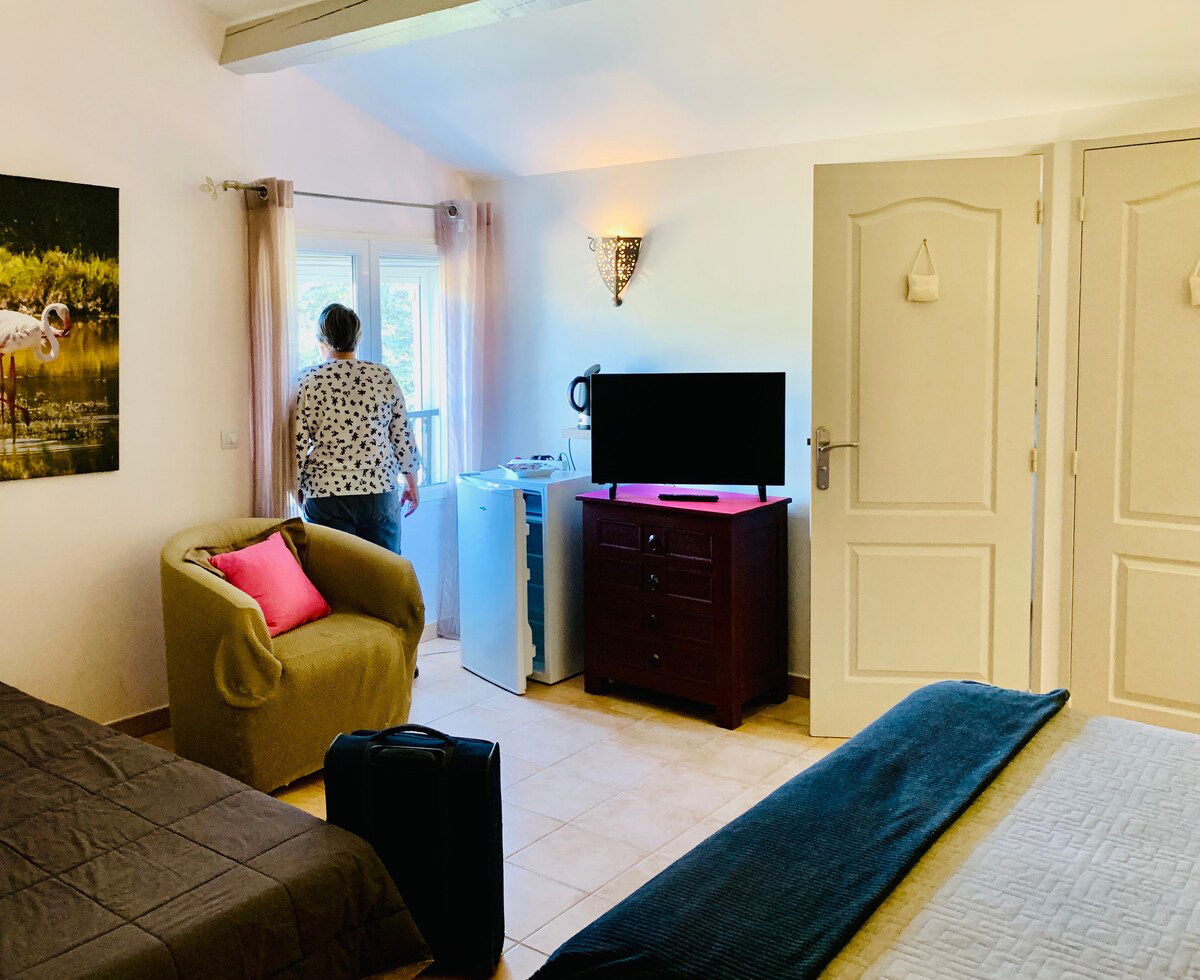 Chambre très spacieuse (30 m²) située au 2ème étage, vue sur jardin.