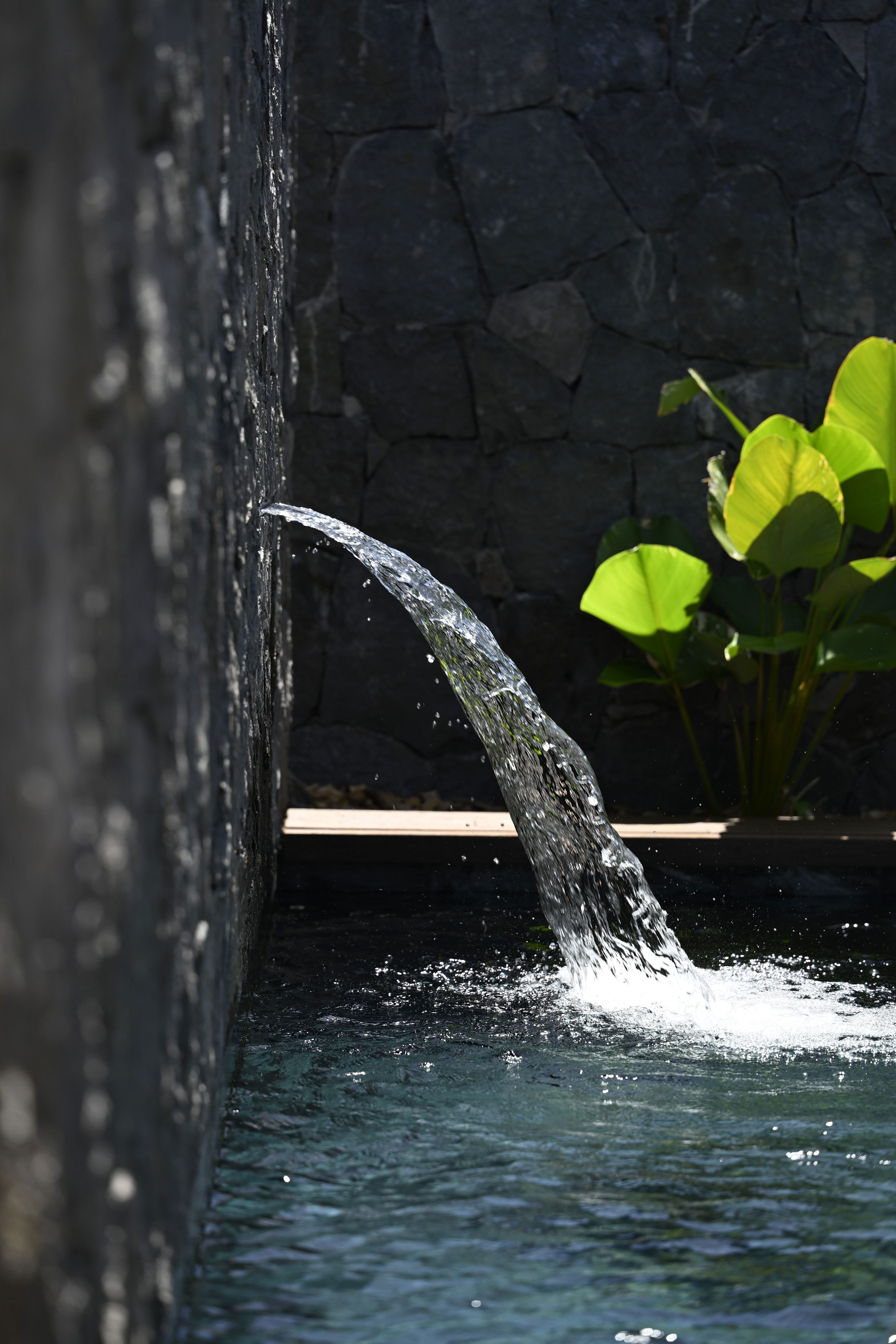 Charmante Villa, barrierefrei zugänglich (PMR), in Saint-Gilles-Les-Bains