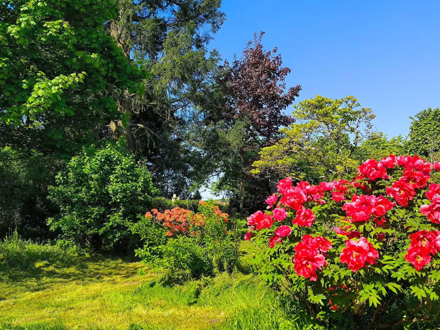 Le Téméraire : Domaine de La Guicheuse