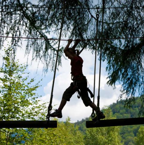 Envie de vous reconnecter avec la nature en Alsace ?