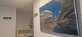 Private apartment- Two bedrooms and two bathrooms.