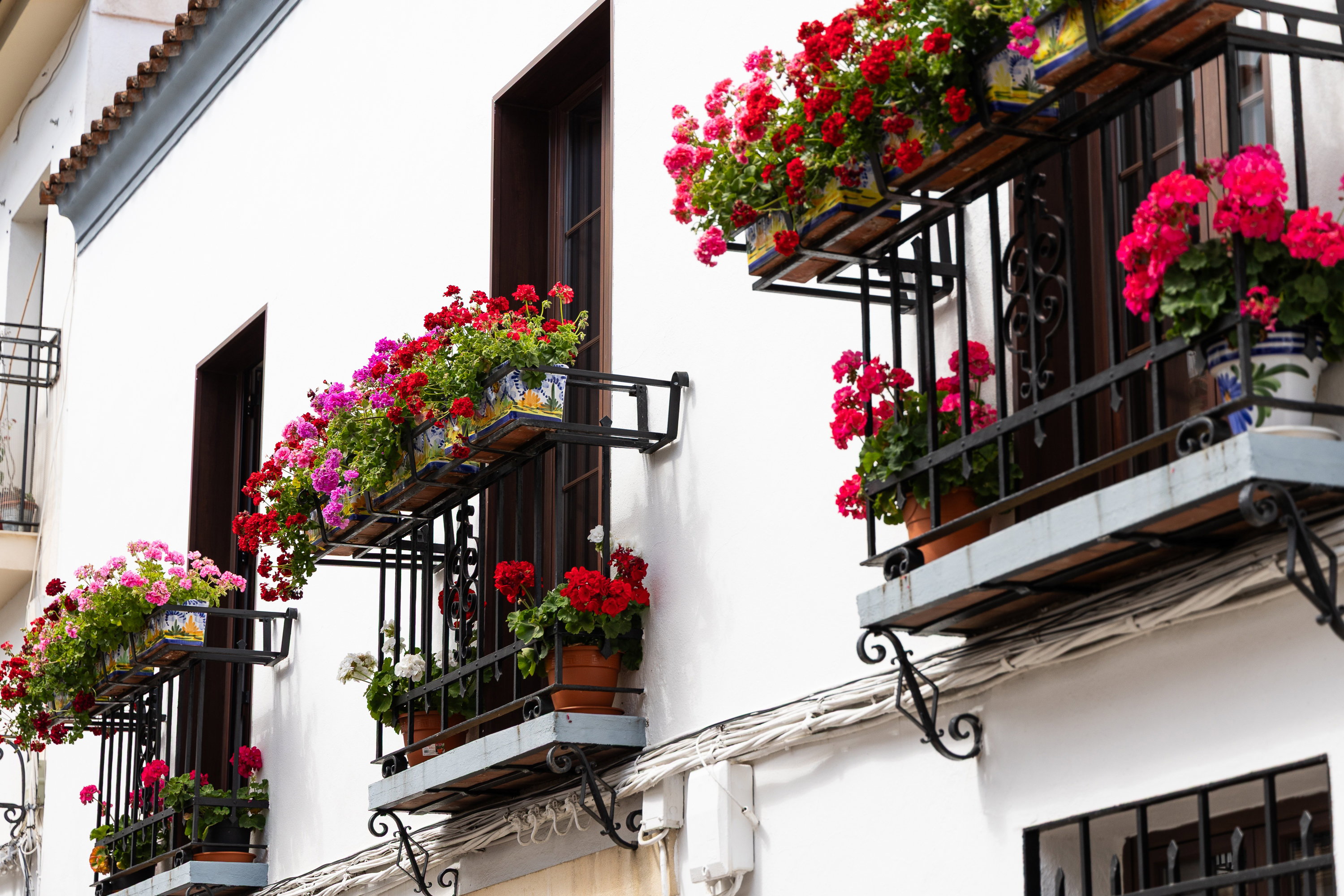 La casita de Salma