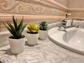 interiorDetail