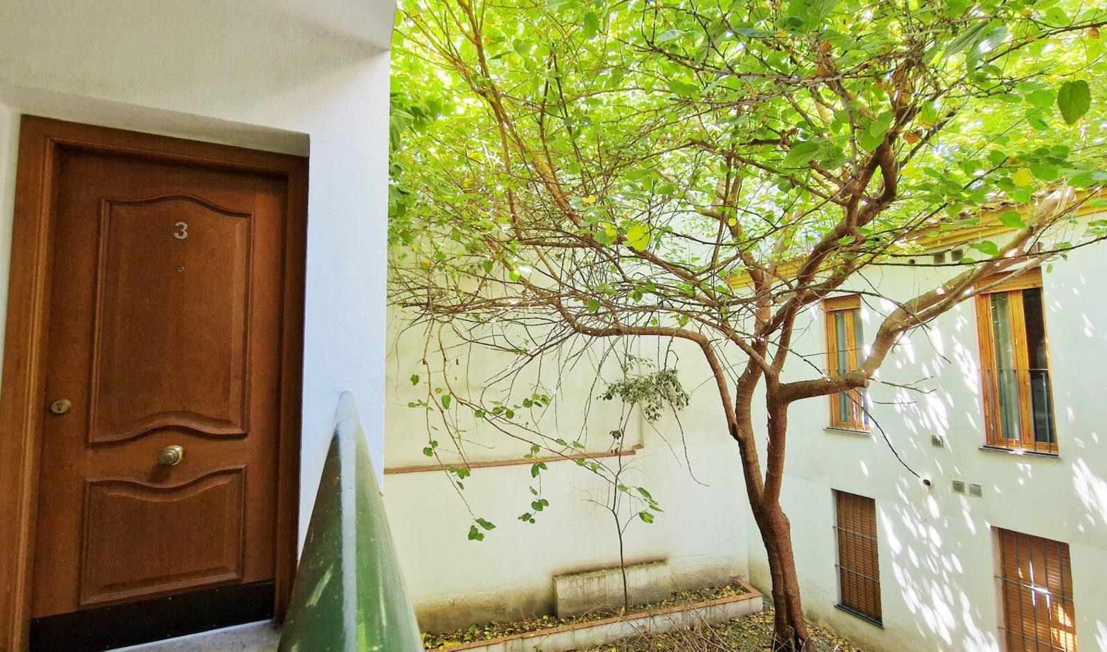 Las vides de Moriles