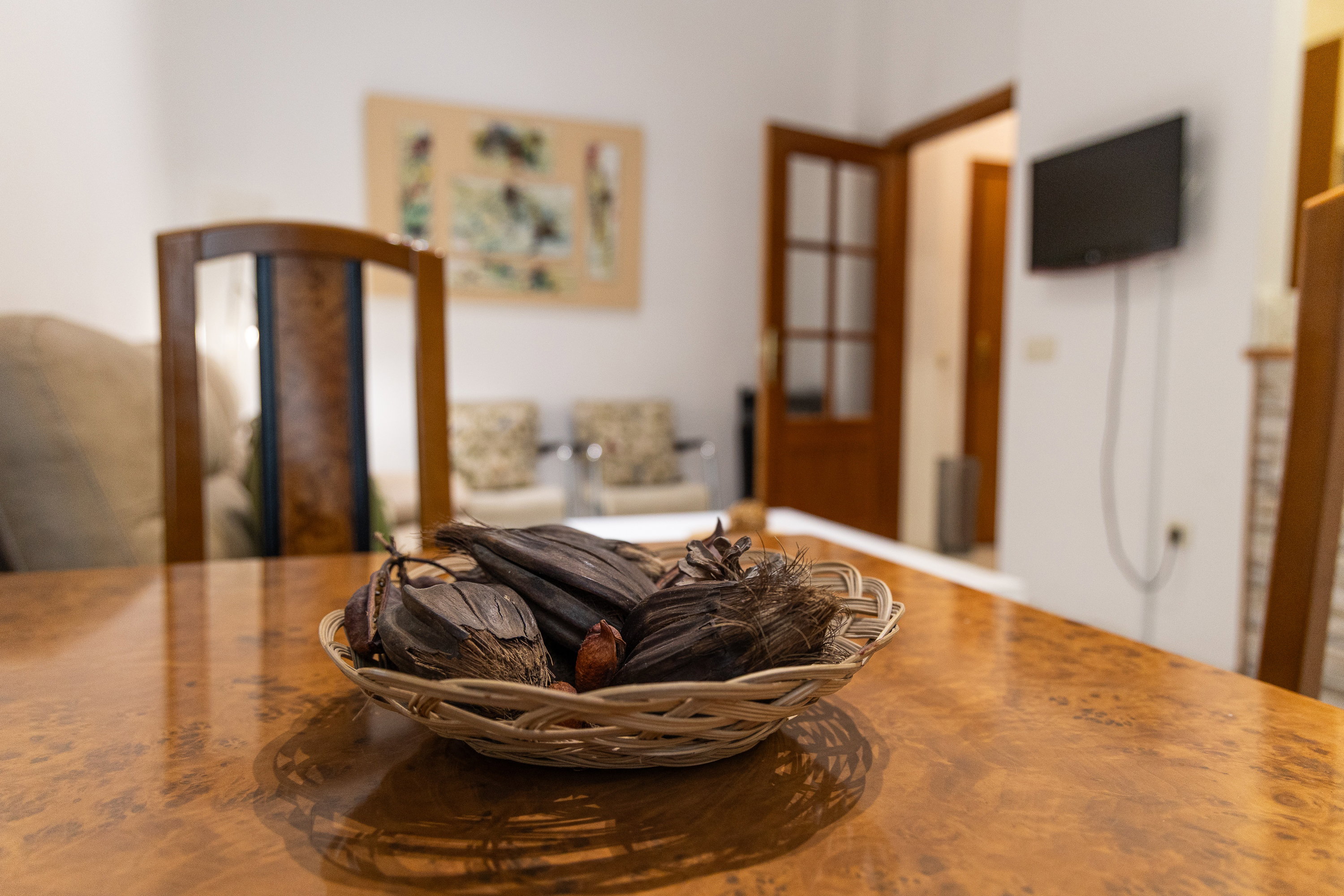 Bienvenido a Vivienda Monumental Centro Córdoba