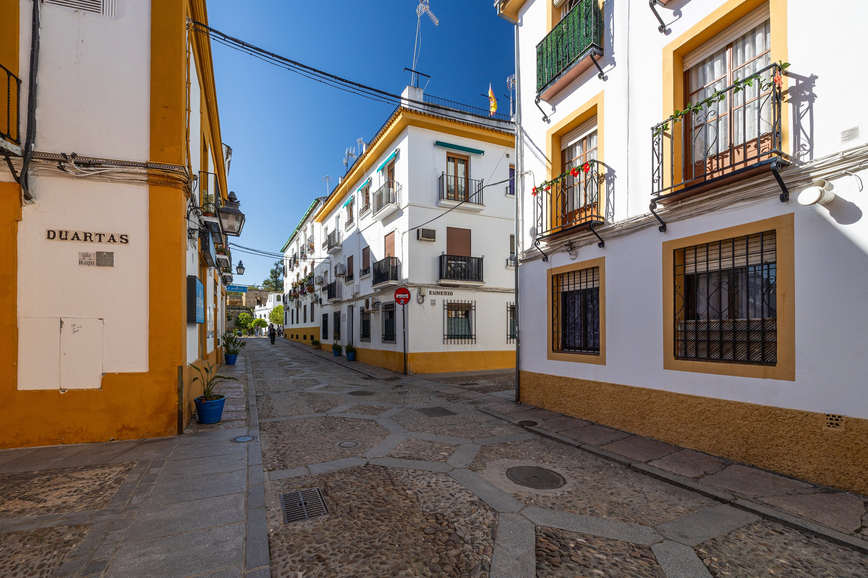 Bienvenidos a Flores de San Basilio