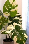 interiorDetail