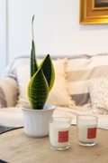 interiorDetail