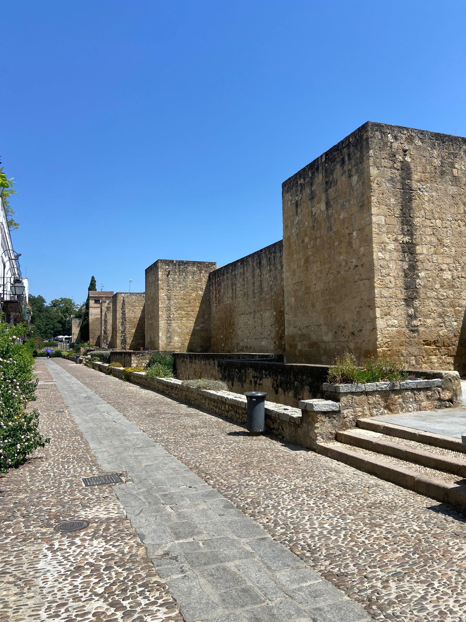 Ancient stone walls line a pristine cobbled pathway. Step outside to experience Cordoba's historical grandeur.