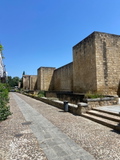 mainImage