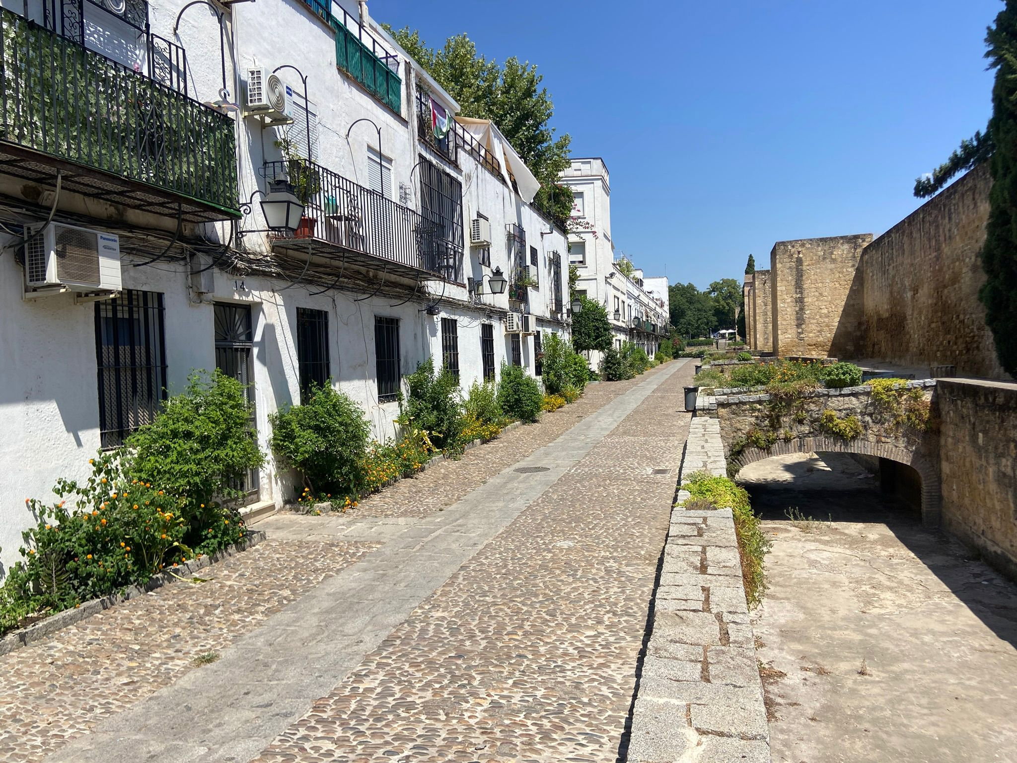 Mezquita & Ancient City Walls at Historic Center