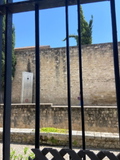 exteriorStreetView