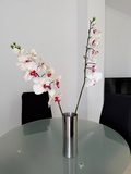 Encantador y elegante apartamento para disfrutar de Estepona.