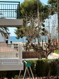 mainImage