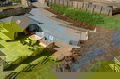Thistle Pod - Luxury Glamping Farm Stay with Hot Tub!